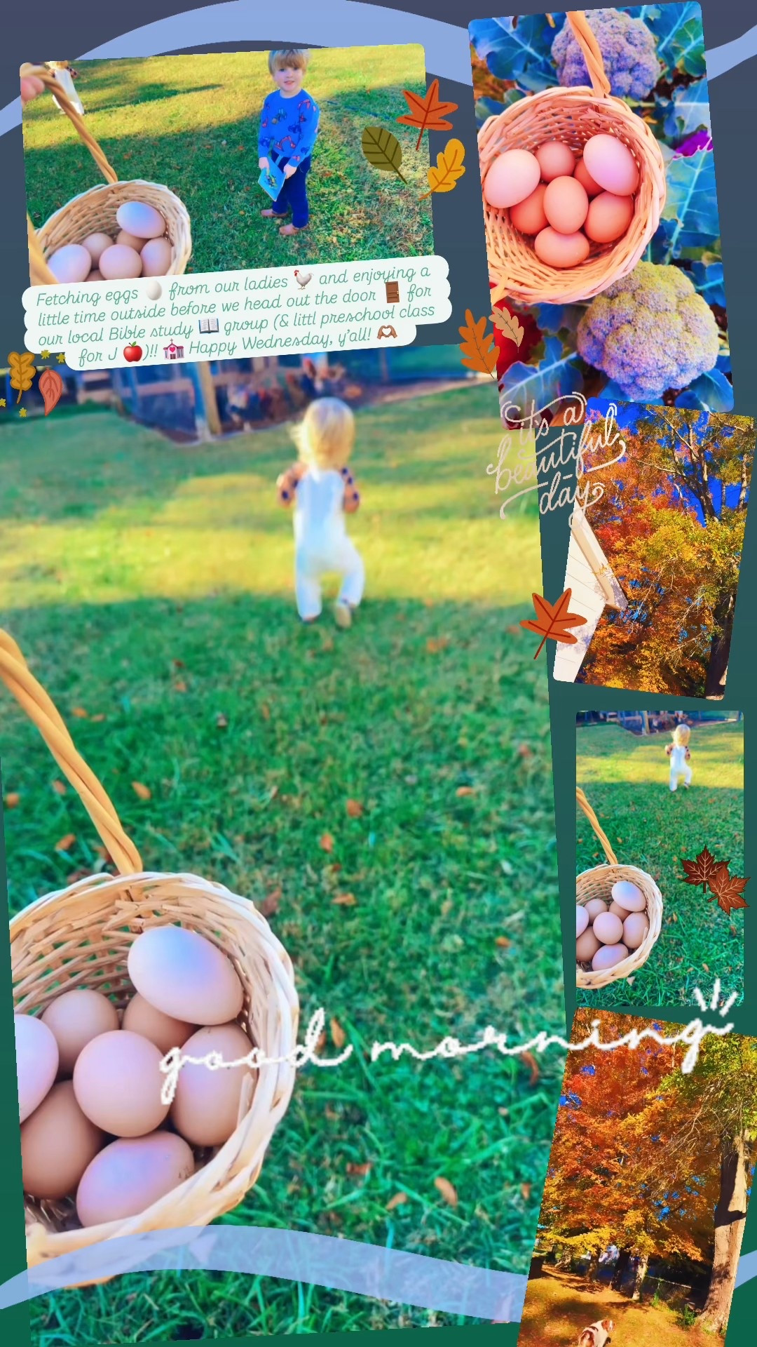 Fetching eggs 🥚 from our ladies 🐓 and enjoying a little time outside before we head out the door 🚪 for our local Bible study 📖 group (& littl preschool class for J 🍎)!! 💒 Happy Wednesday, y’all! 🫶🏽 
