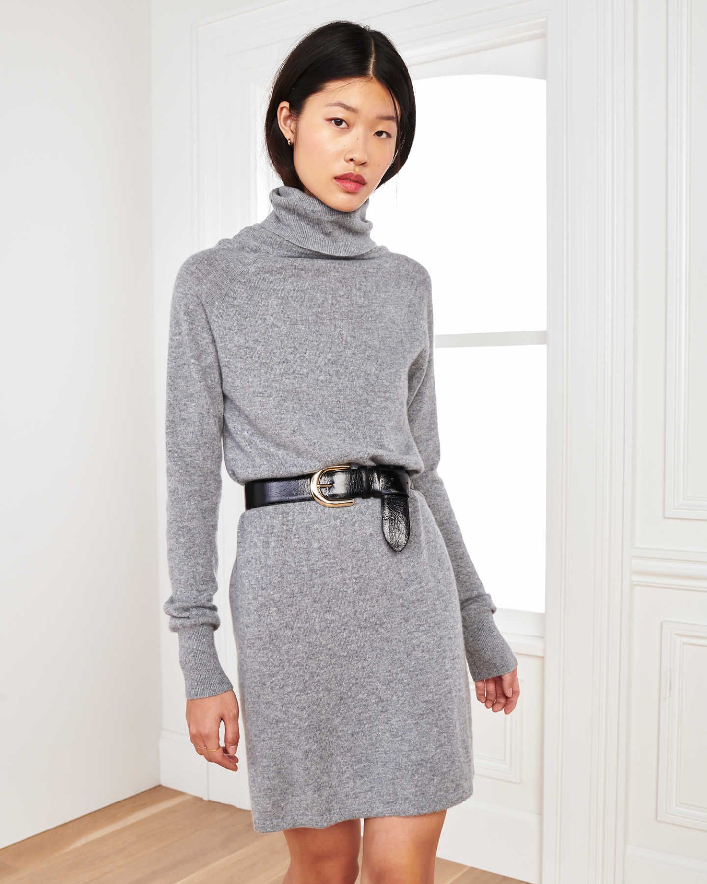 Mongolian Cashmere Turtleneck Sweater Dress | Quince