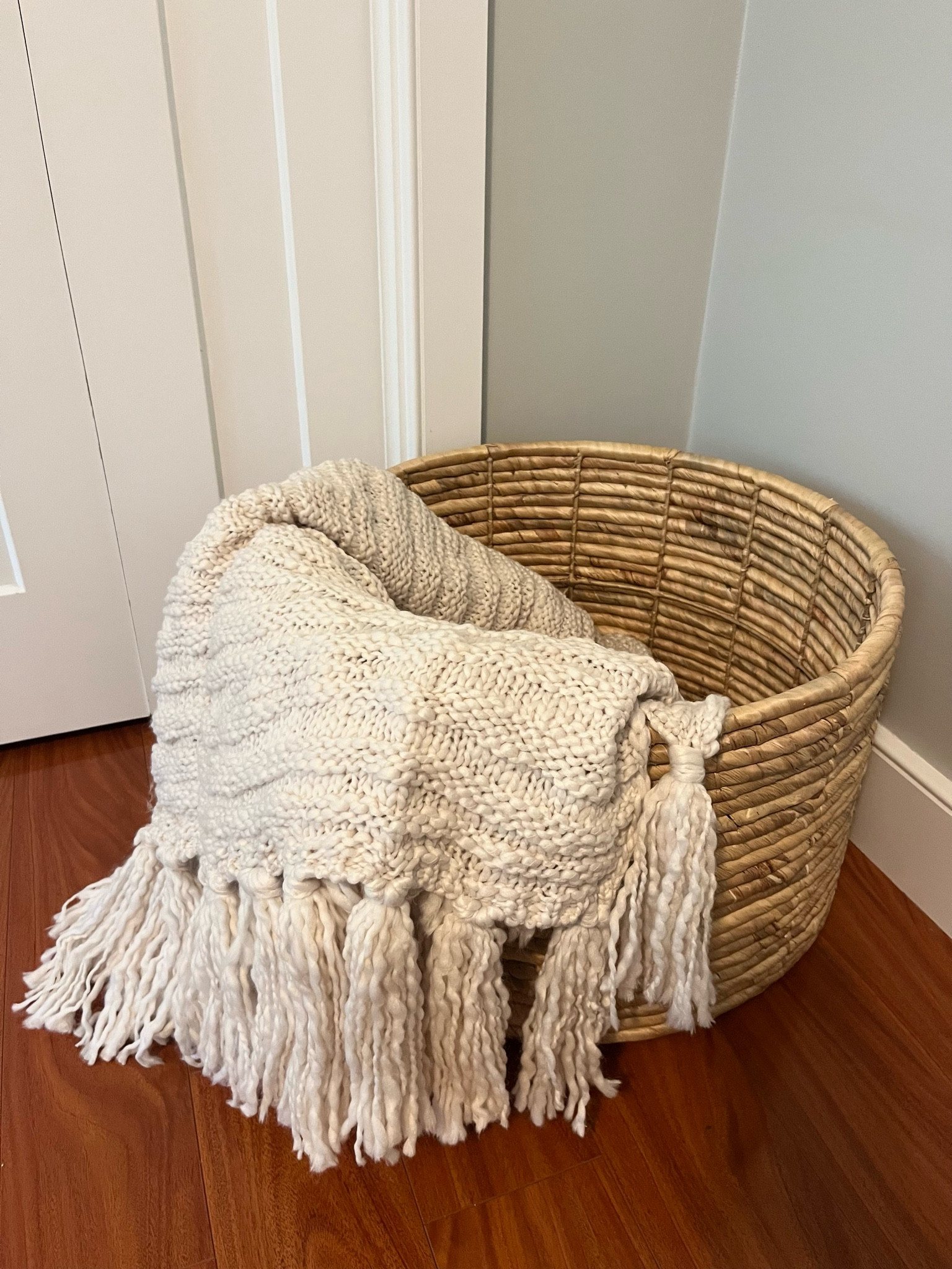 Obsessed with how big this basket is!

Bedroom decor
Living room decor
Home decor
Cozy home

#LTKxTarget #LTKHome #LTKFindsUnder50