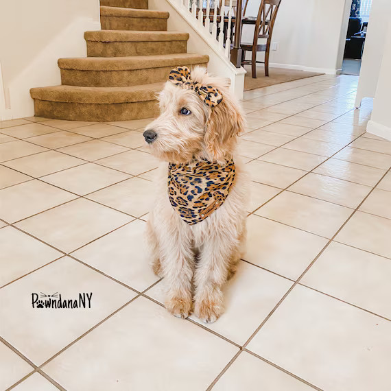 Read the full title
    Dog Bandanas, Leopard Bandana, Dog Bandana, Fabric Bandana, Brown Dog Ban... | Etsy (US)