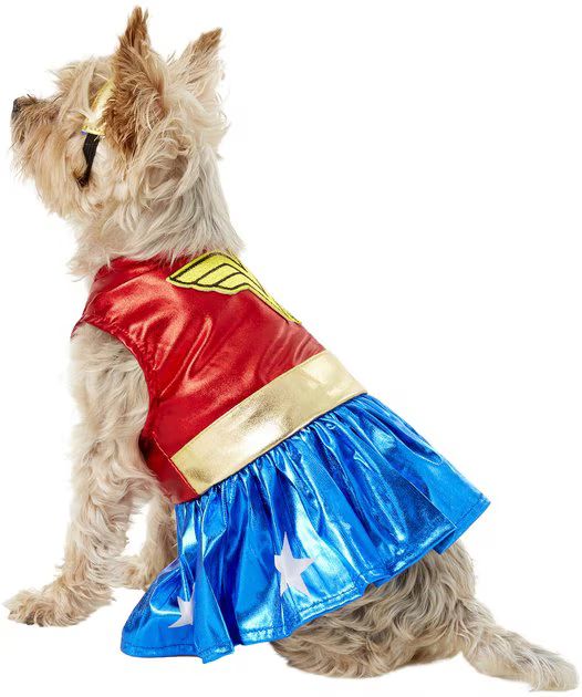 RUBIE'S COSTUME COMPANY Wonder Woman Dog & Cat Costume, Small - Chewy.com | Chewy.com