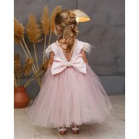 Baby Girl Dress Special Occasion, First Birthday Dress, Party Girls Blush Dress, Toddler Tutu 1st | Etsy (US)