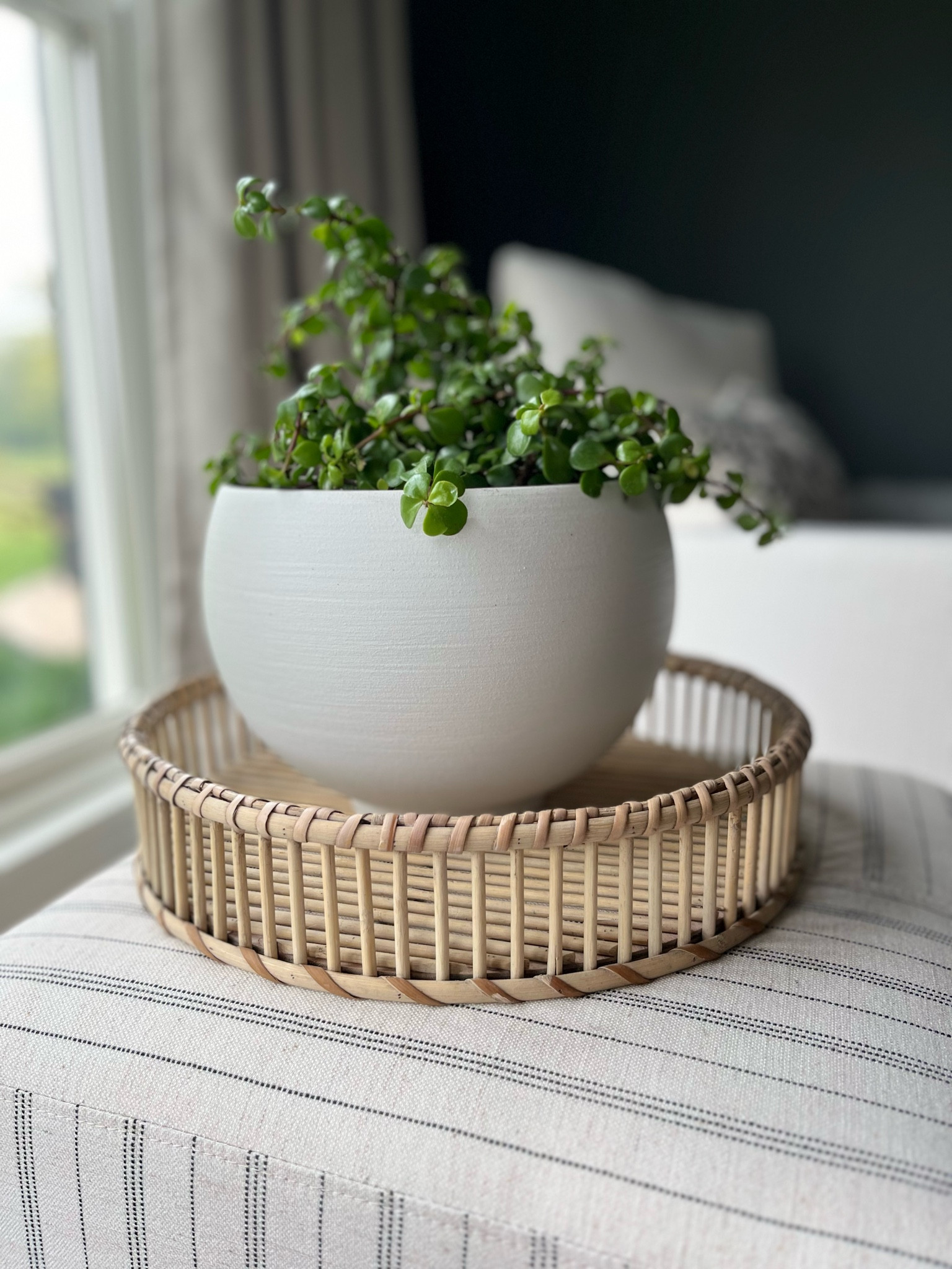 The prettiest styling moment!

#LTKHome #LTKOver40 #LTKSaleAlert