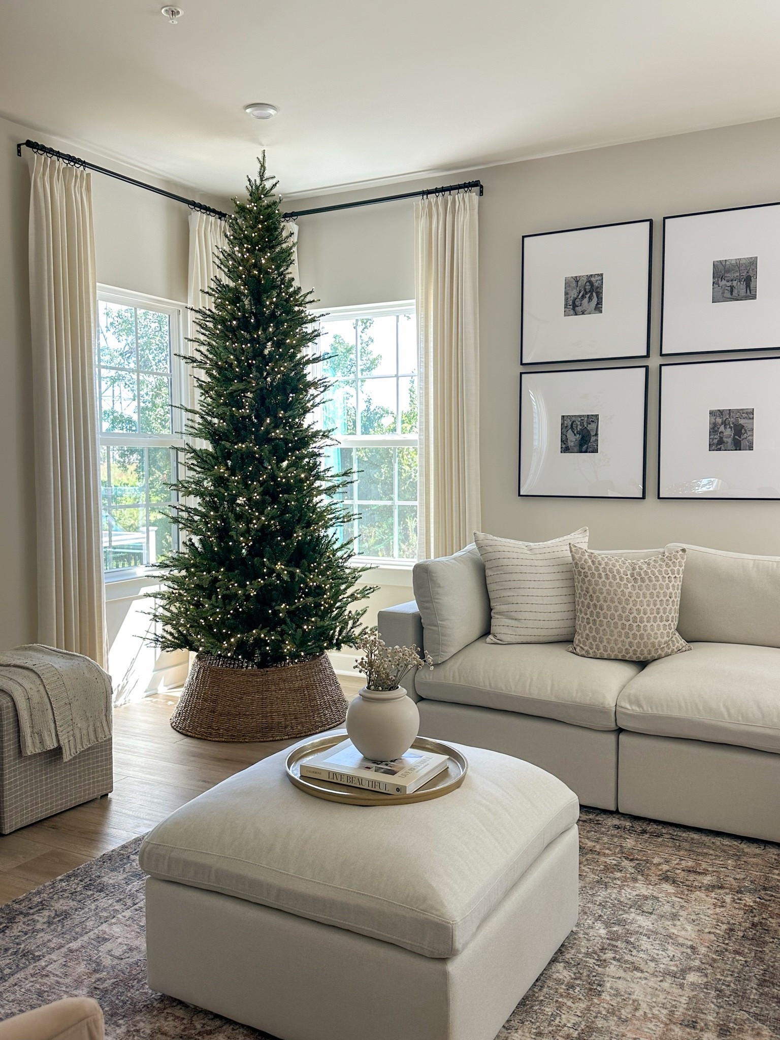 The viral grand duchess Christmas trees are back in stock! This is the 9ft slim. They all now have the SMART technology where you can do voice command with Alexa or Google. All sizes in stock! This one sells out every year way before the holidays! 

#christmastree #viraltree #grandduchess #homedepot #livingroom #holidaytree #holidaydecor #homedecor #9footchristmastree

#LTKHome #LTKSeasonal