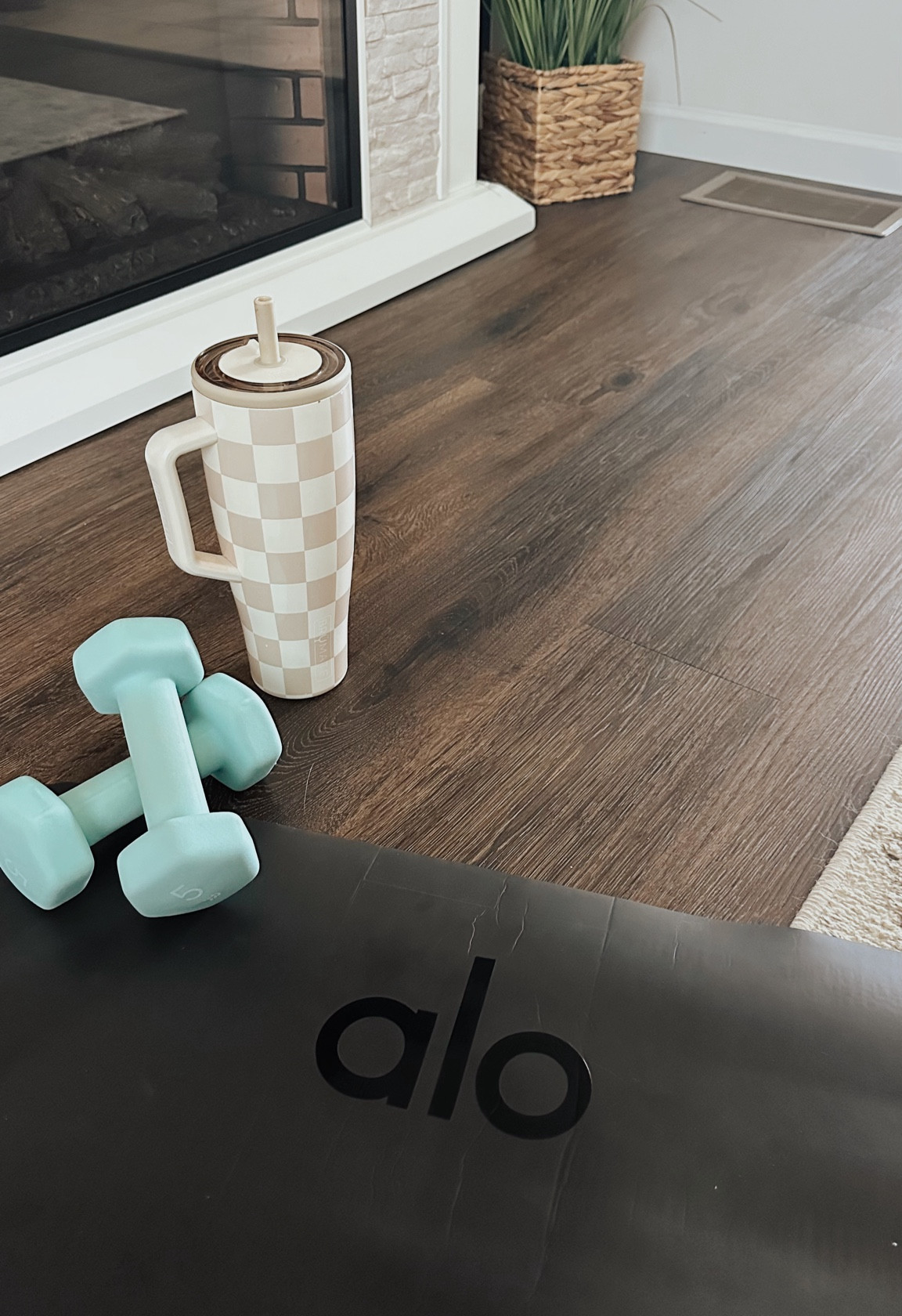 new year, new goals ✨ elevate your at-home workouts with essentials that make you feel good and stay motivated.

alo yoga warrior mat | brumate era tumbler | 5lb dumbbells 

#LTKActive #LTKHome #LTKFitness