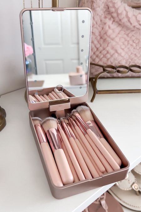 travel case with matching makeup brushes & a rechargeable LED mirror!