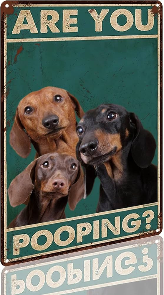 Retro Tin Sign Vintage Dachshund Are You Pooping Funny Signs,Bathroom Restroom Wall Toilet Decor ... | Amazon (US)