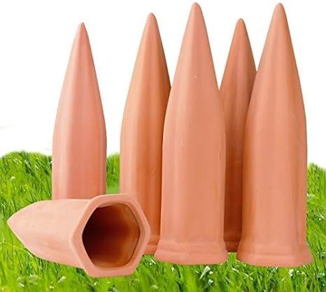 Plant Watering Devices 6 Pack Terracotta Vacation Plant Waterer Wine Bottle Watering Stakes Slow ... | Amazon (US)