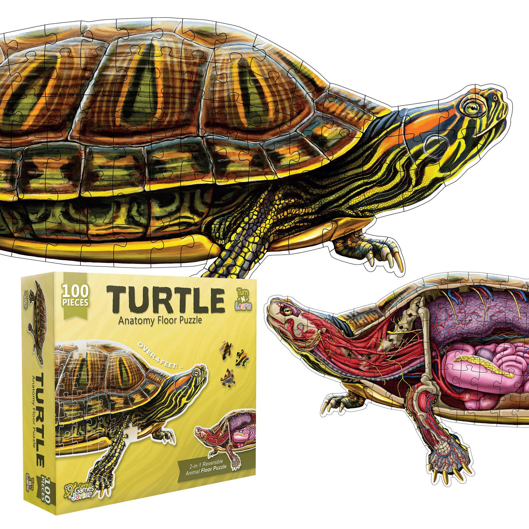 Turn N Learn: Turtle Puzzle | Walmart (US)