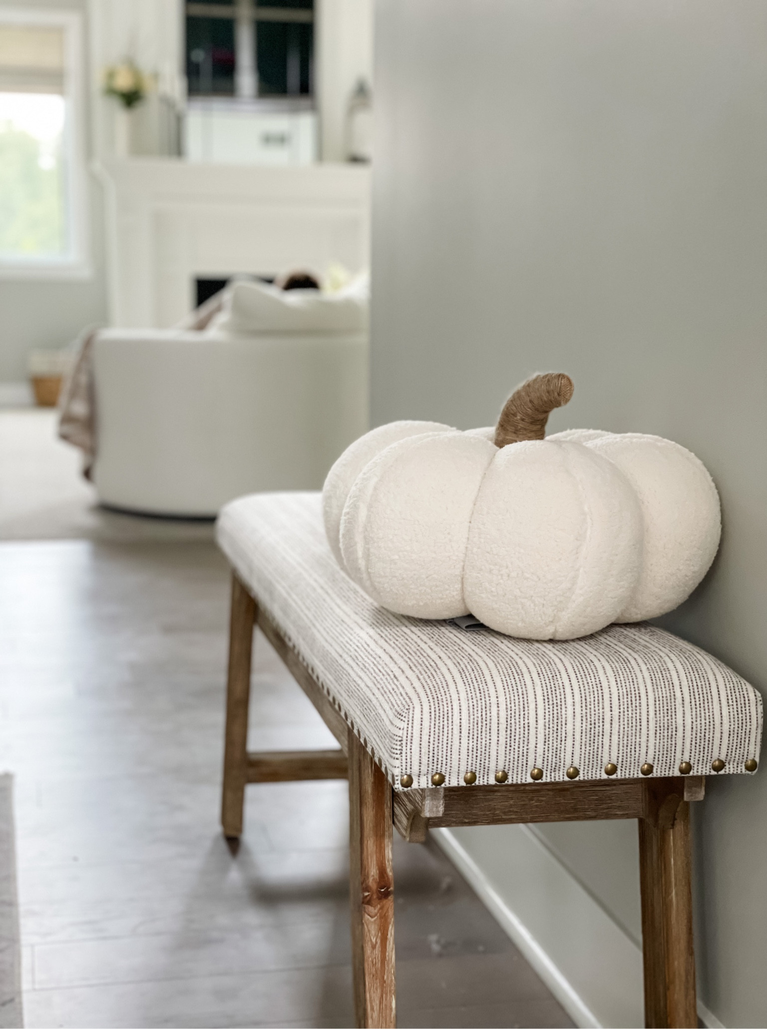 Living room fall decor. Pumpkin pillow, entryway bench. 

Chic Halloween 


#LTKSeasonal #LTKhome #LTKHalloween