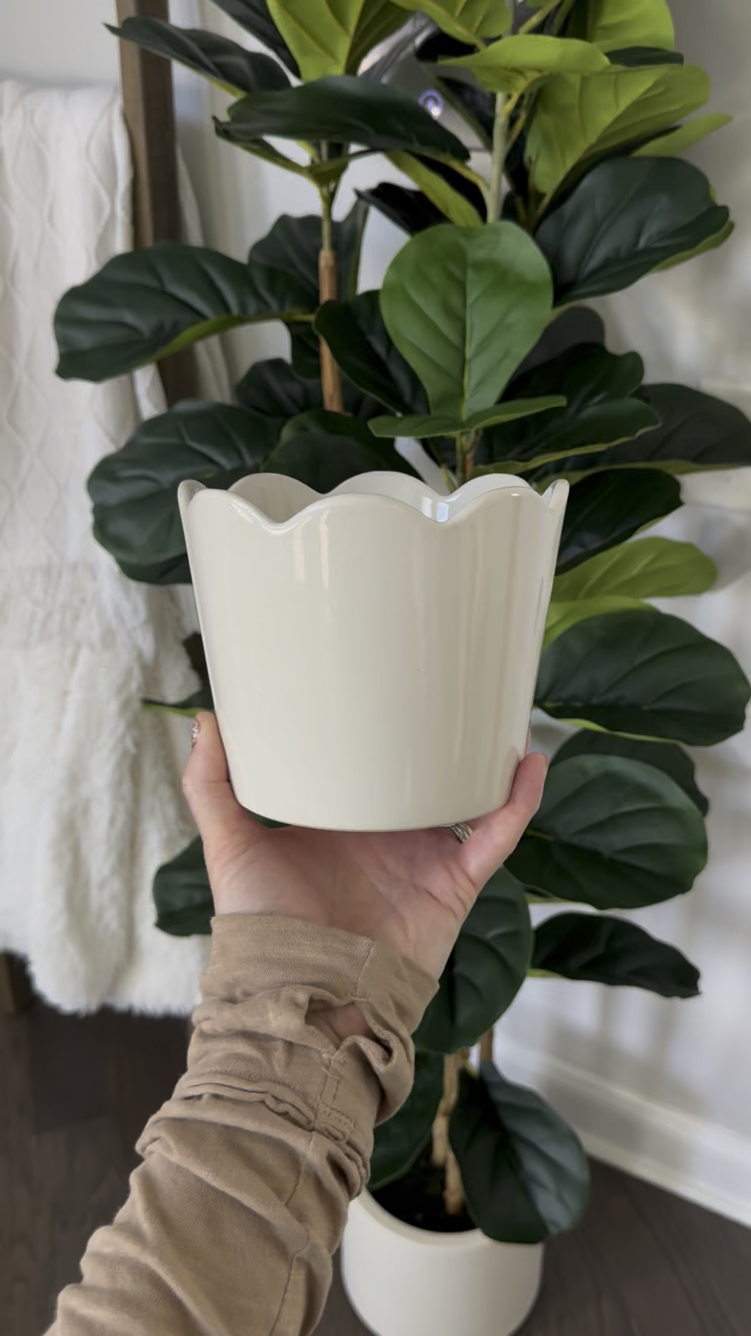 All the cute Spring decor! 

#LTKHome #LTKFindsUnder50 #LTKSeasonal