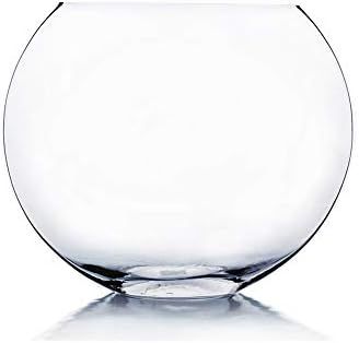 WGV Moon Vase, 10" x 4"W, 7.7" H, Clear Glass Floral Container with Oval Opening, Planter Terrari... | Amazon (US)