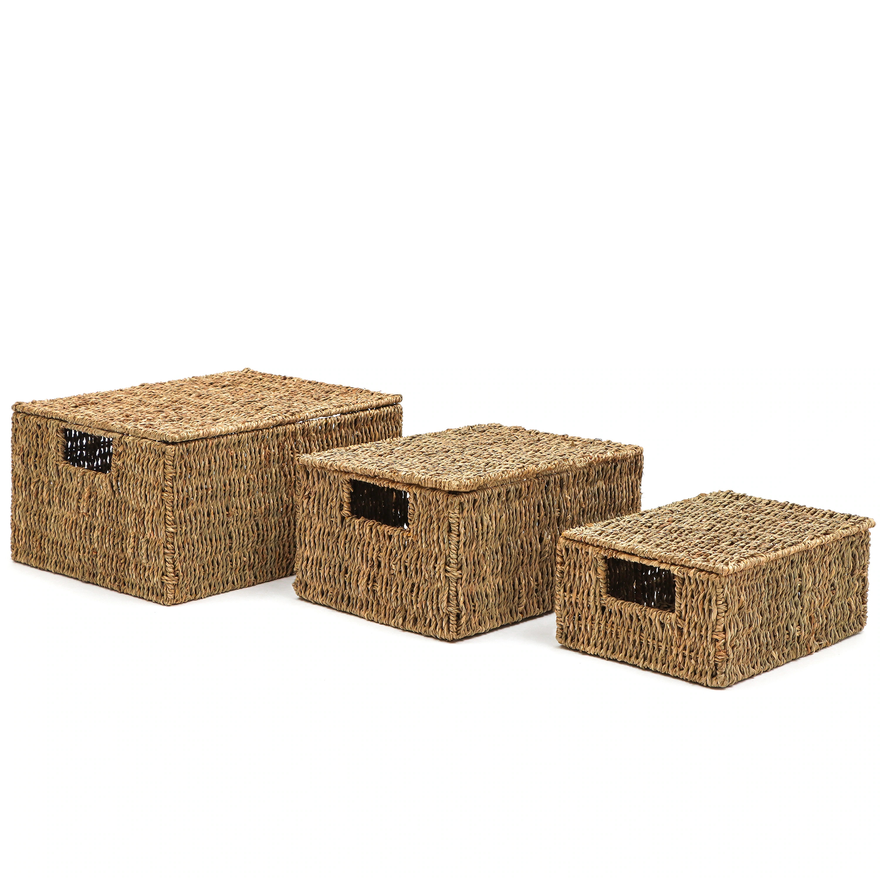 Trademark Innovations Set of 3 Rectangular Seagrass Baskets with Lids (Small) | Overstock