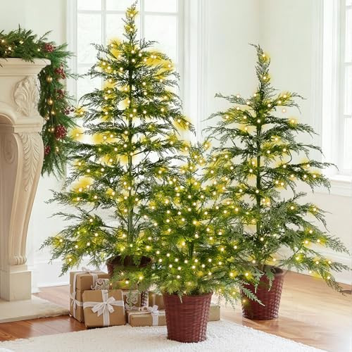 Cinnvoice Set of 3 2ft 3ft 4ft Pre-lit Twinkle Christmas Cypress Tree with 180 LED Light Realistic Artificial Trees with Woven Basket Base Xmas Holiday Decor for Indoor Living Room Home (Cypress Tree) | Amazon (US)