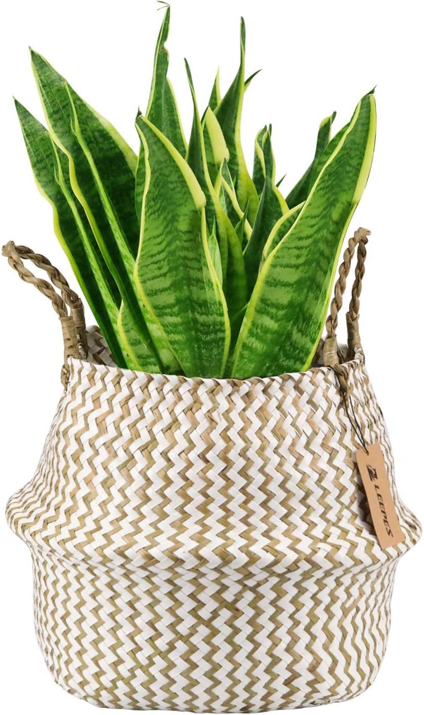 LEEPES Natural Craft Seagrass Belly Basket for Storage, Laundry, Grocery and Picnic Woven Straw B... | Amazon (US)