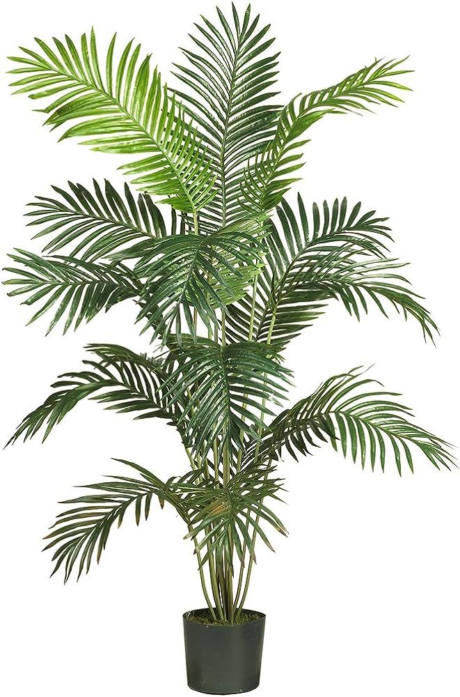 Nearly Natural 5260 Paradise Artificial Palm Tree, 5.5-Feet, Green,72" x 9" x 9" | Amazon (US)