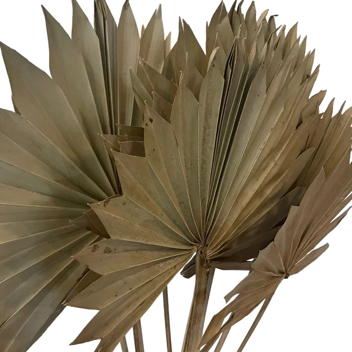 Edgao Arrangement | Wayfair North America