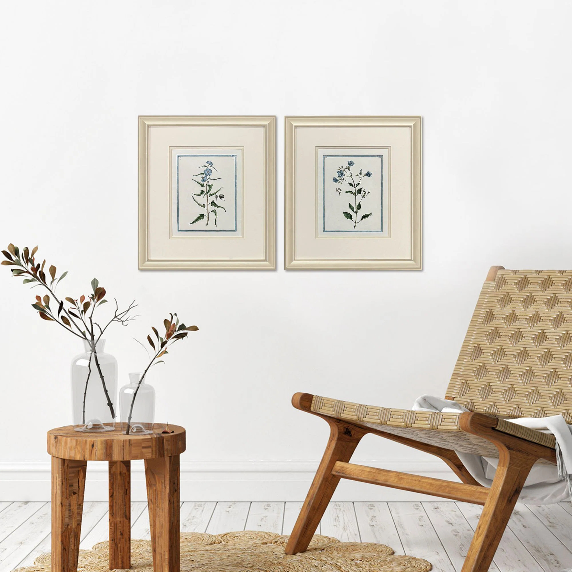 Shabby Chic Botanical Framed Art (Set of 2) | Wayfair North America