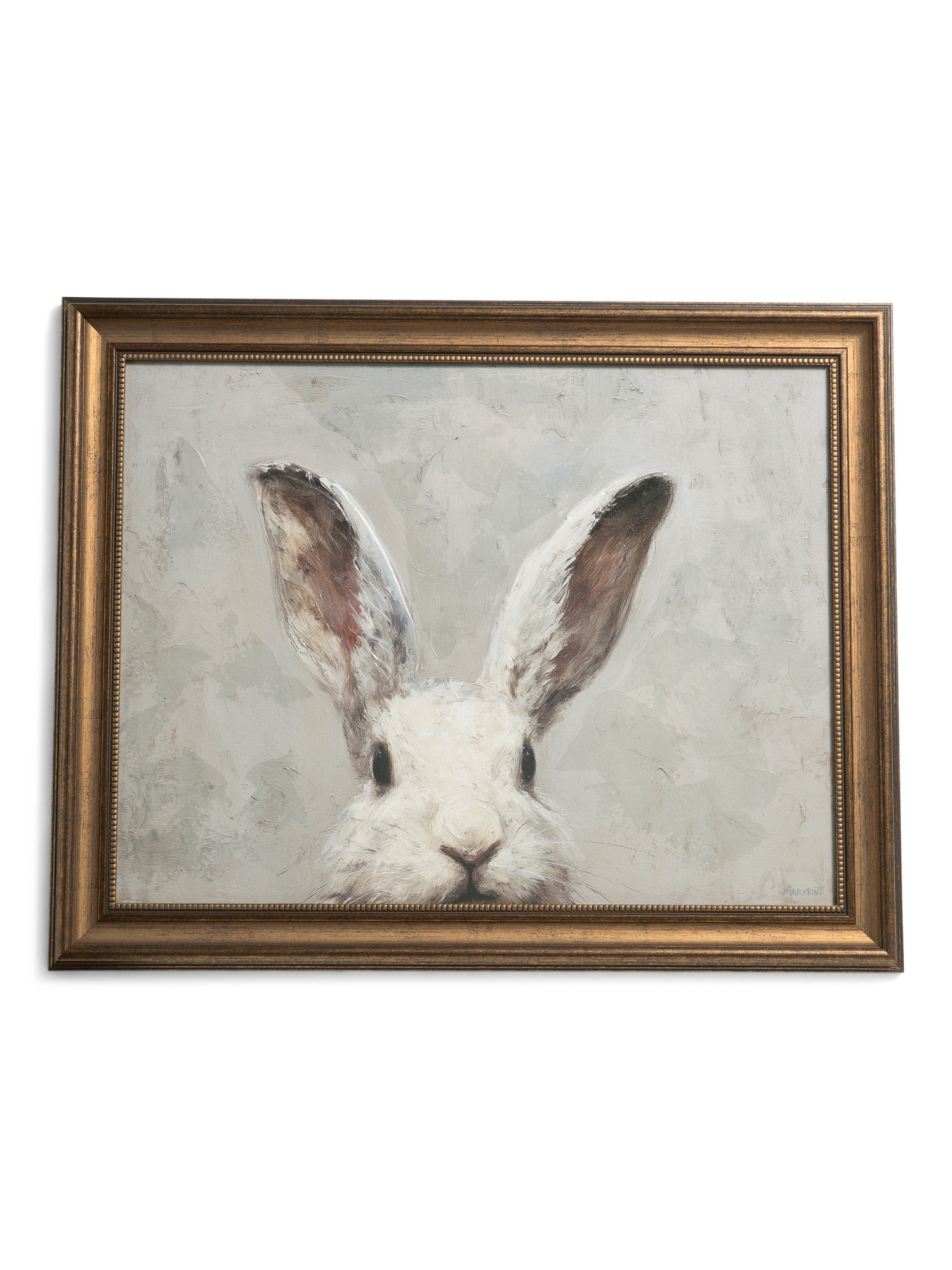 25x20 Adorable Rabbit Vintage Frame Wall Art | TJ Maxx