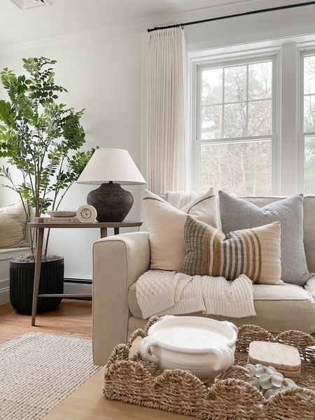 Coastal living room, throw pillows, Amazon curtains, side table, lamp, faux tree, coffee table decor, spring decor 

#LTKhome #LTKstyletip