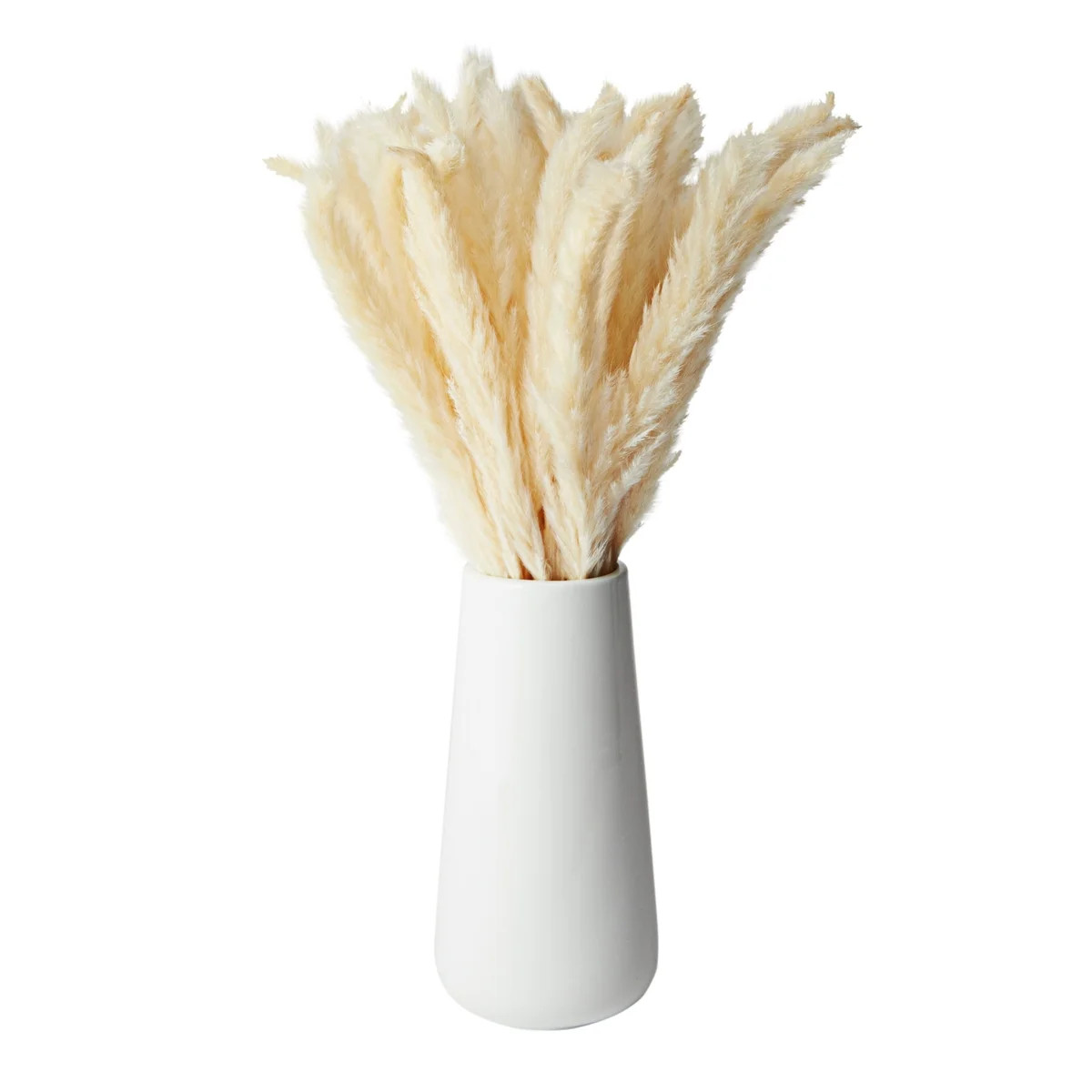 41 Pcs Set Beige Dried Natural Pampas Grass Flowers with Ceramic Vase for Home Decor, 16 in. | Walmart (US)