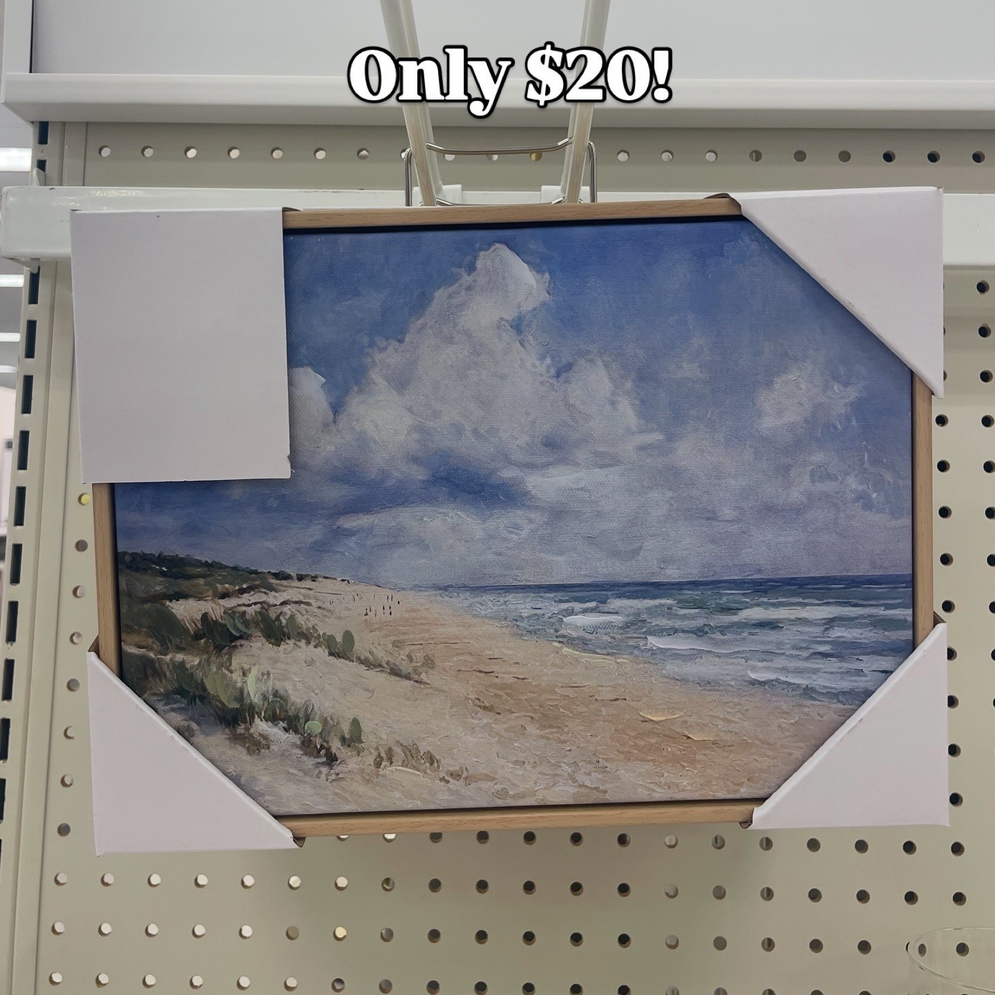 $20 coastal artwork