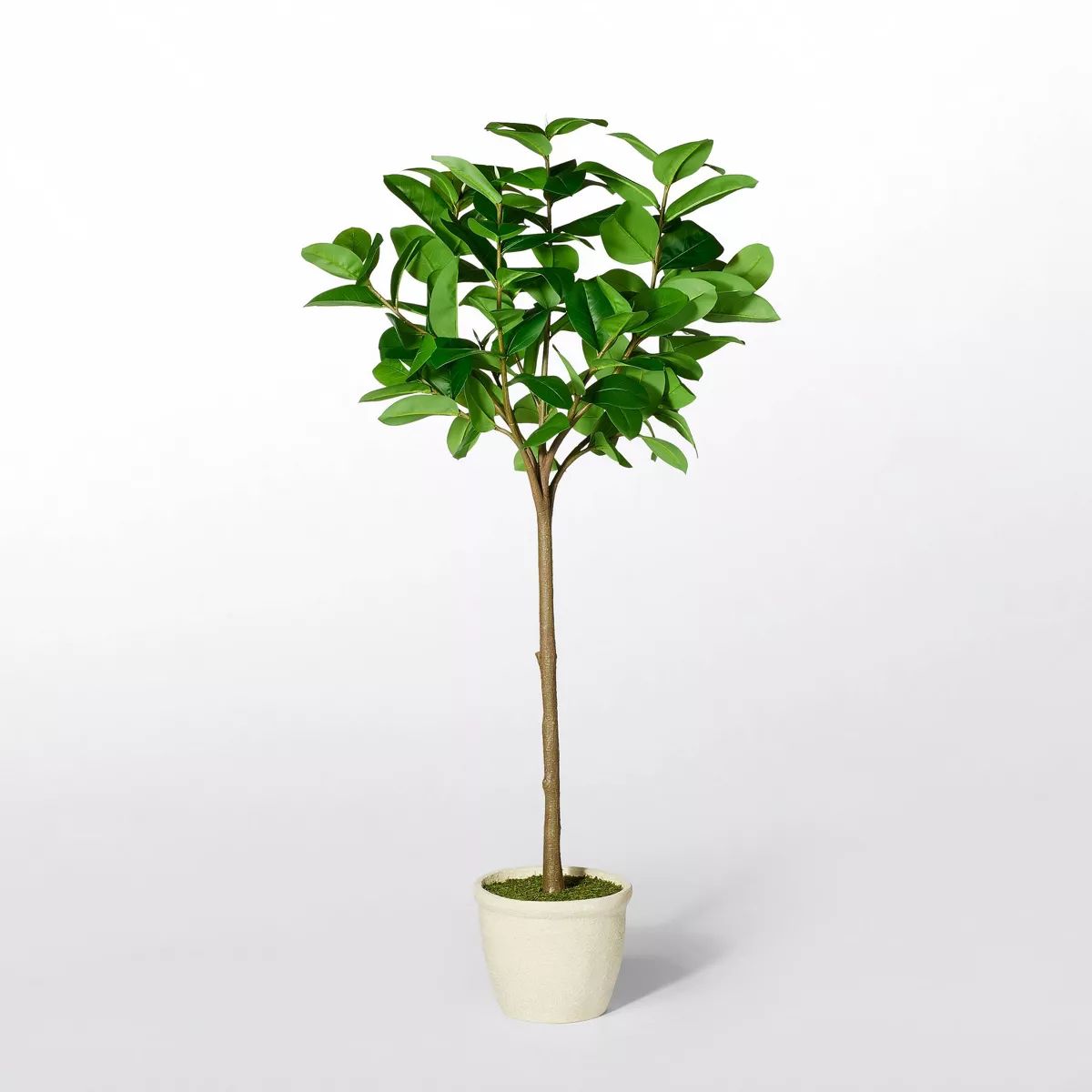Ficus Tree - Threshold™ designed with Studio McGee | Target