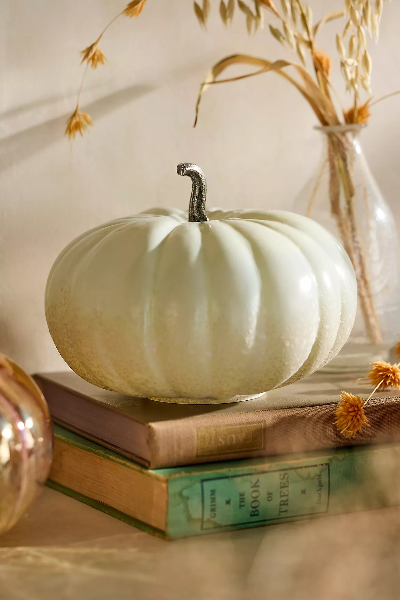 Glass Pumpkin, 7"Terrain
  


  


  


  


  

3 Reviews Reviews$32.00 | Anthropologie (US)