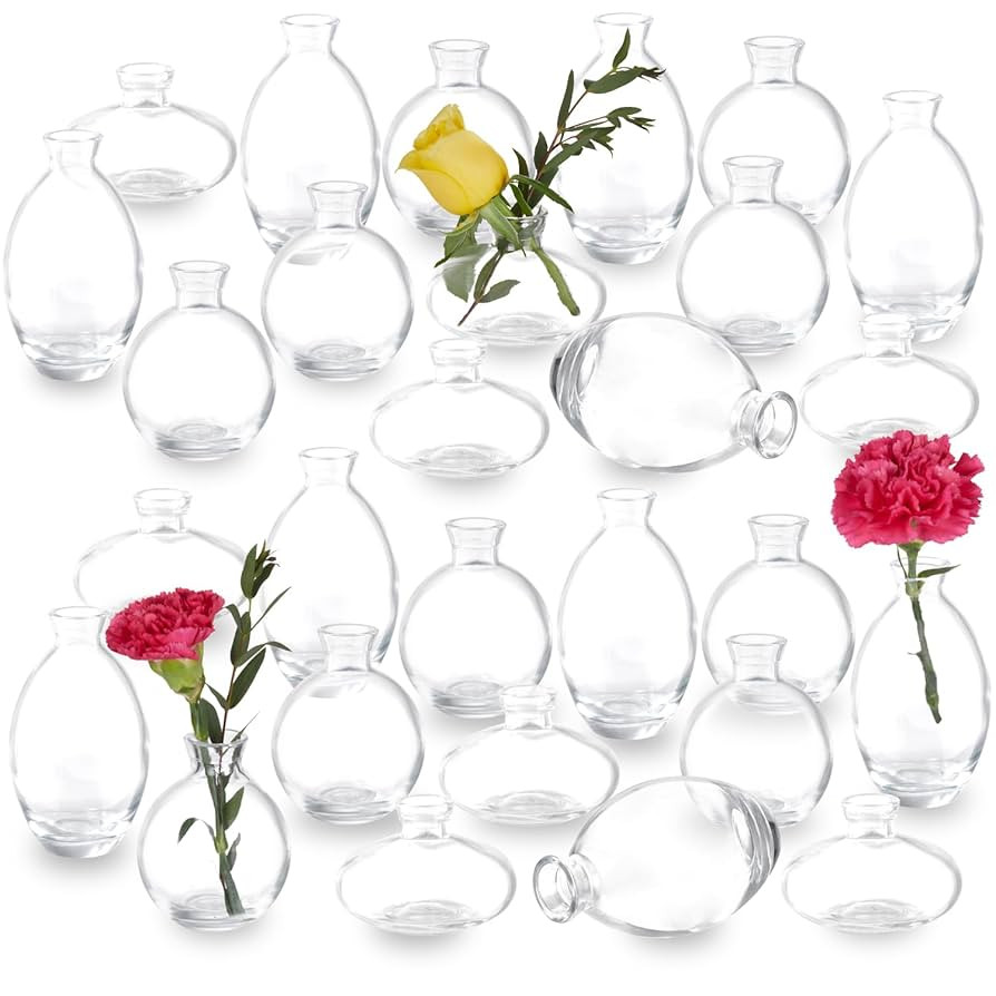 28 Clear Bud Vases in Bulk, Glass Small Bud Vase for Centerpieces, Mini Bud Vase Set for Flowers,... | Amazon (US)