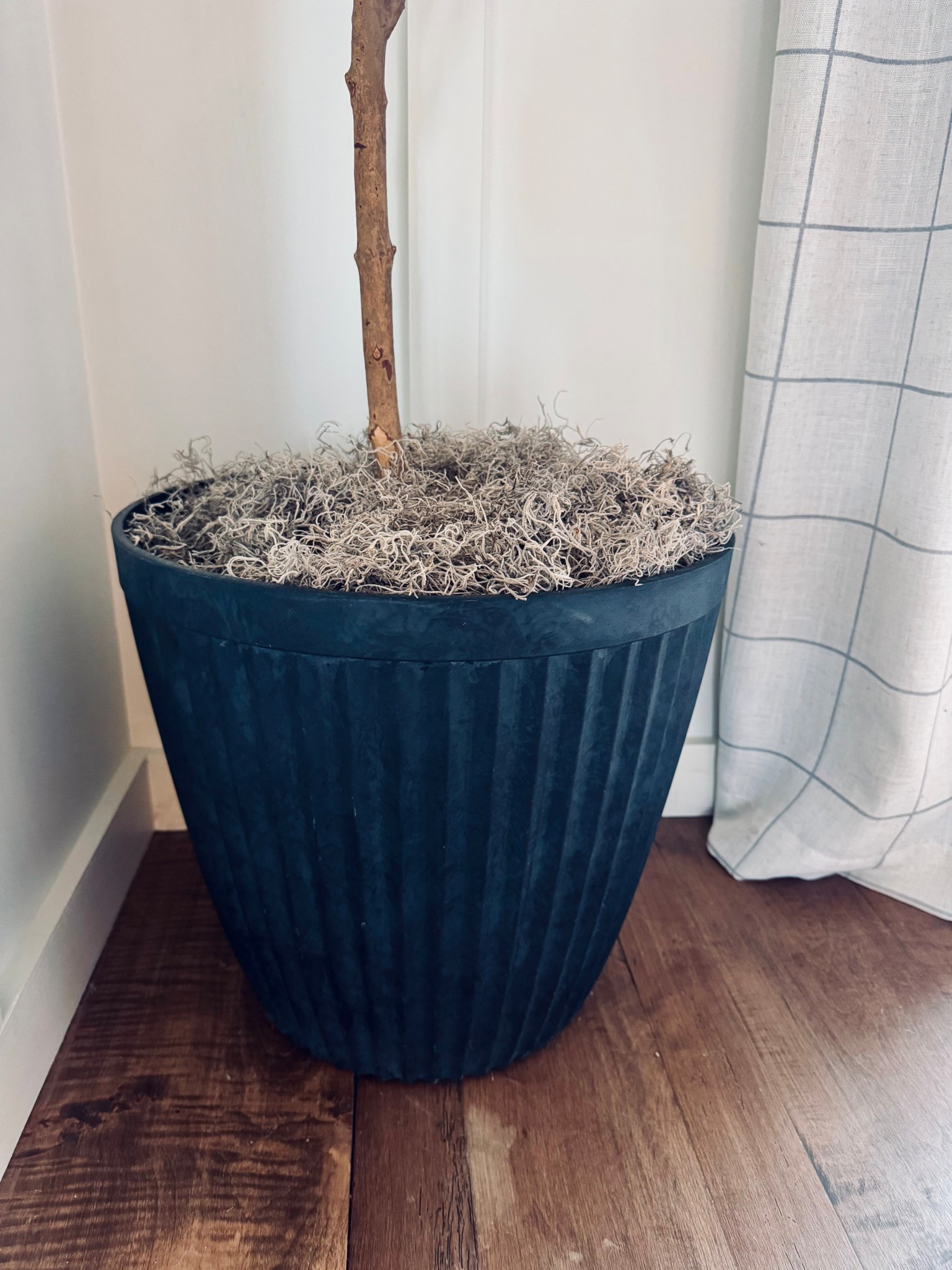 The easiest thing to use when filling your planters … it’s as simple as moss! 
faux plant, faux tree, amazon, moss, diy, vase filler

#LTKHome