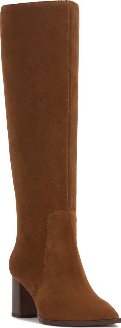 Lumina Pointed Toe Boot (Women) | Nordstrom