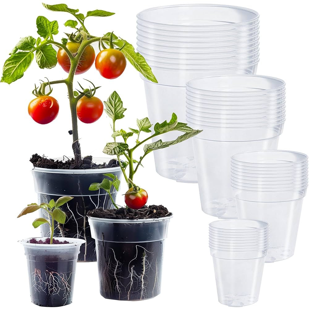 Hourleey 36 Pack 4/5/6/7 Inch Clear Nursery Pots for Plants, Plant Pots with Drainage Holes, Tran... | Amazon (US)