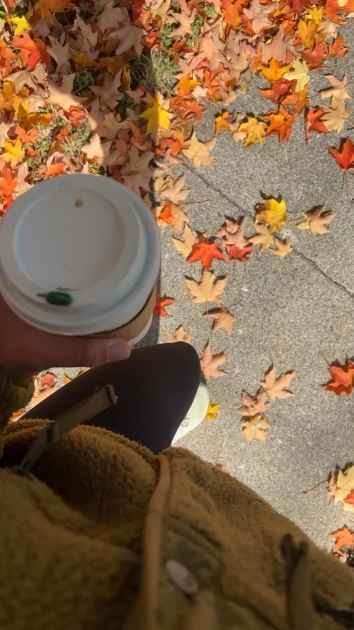 october 🍂🍁🍃

#LTKunder100 #LTKSeasonal #LTKfit