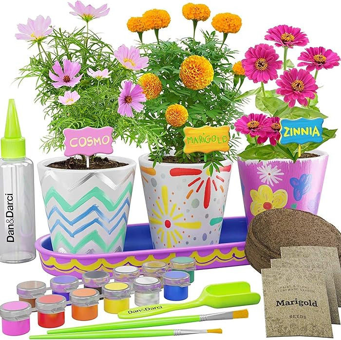 Dan&Darci Paint & Plant Flower Garden Kit for Kids \u2014 Stoneware Pots, Seeds & Paint Set \u201... | Amazon (US)