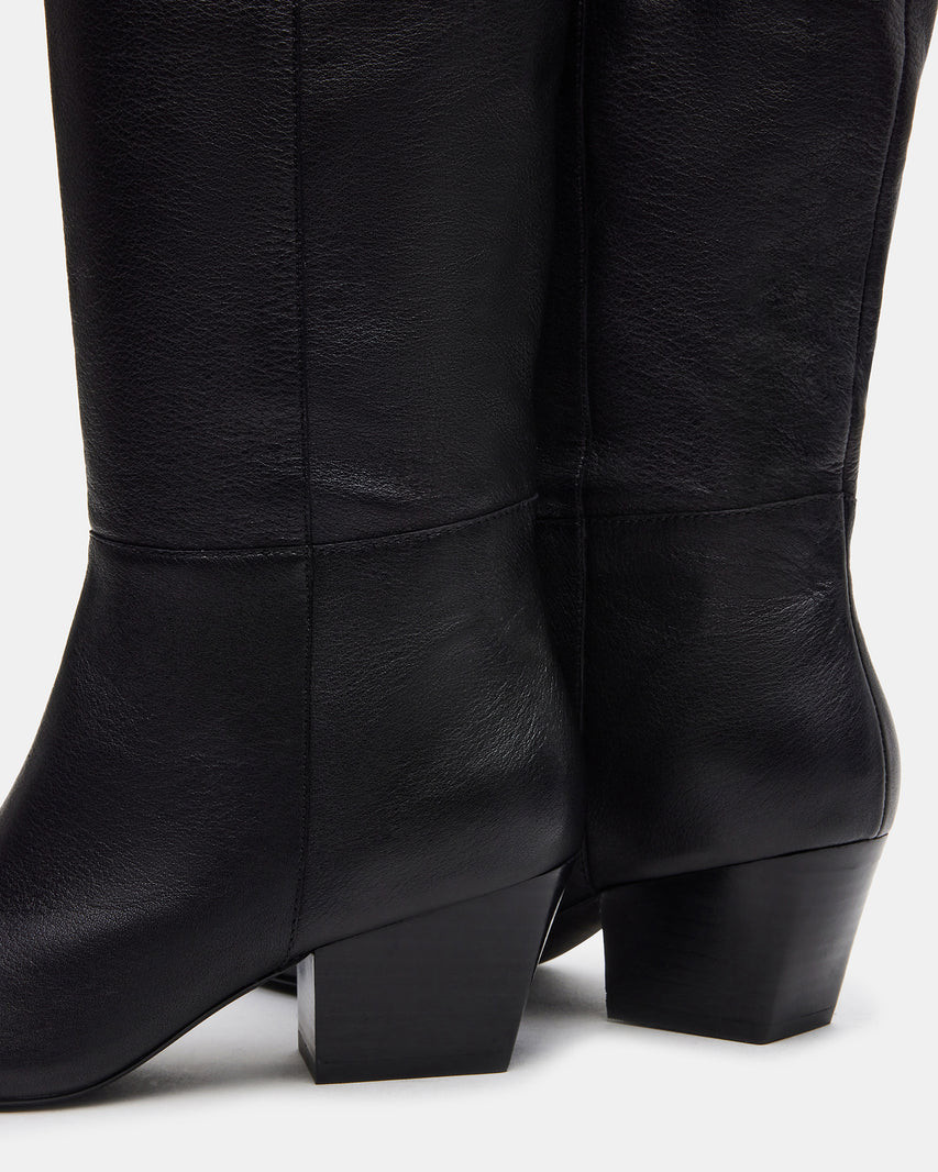 EDEN Black Leather Pointed Toe Boot | Women's Boots | Steve Madden (US)
