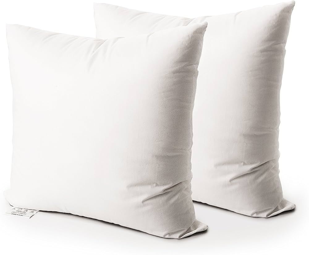 EDOW Throw Pillow Insert, Set of 2 Down Alternative Polyester Square Form Decorative Pillow, Cush... | Amazon (US)