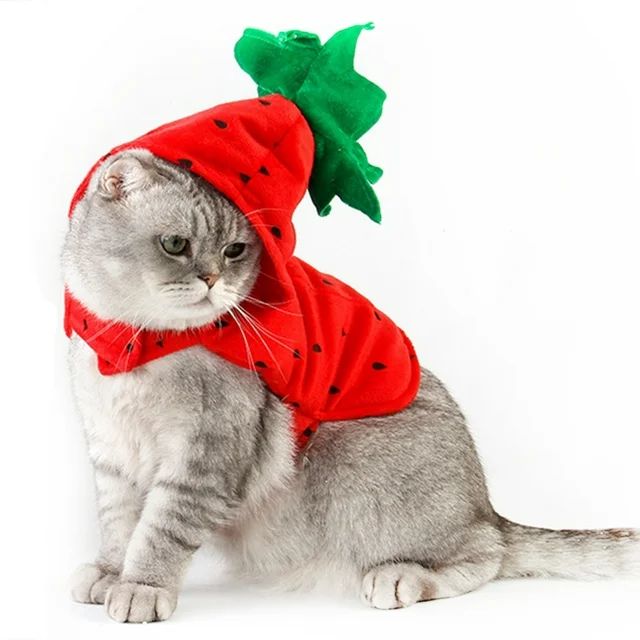 Halloween Pet Coat Cute Strawberry Design Cat Dress up Apparel Dog Costume | Walmart (US)