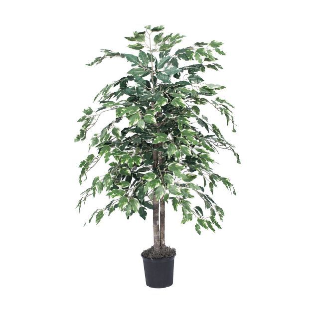 4' Artificial Variegated Ficus Bush - Vickerman | Target