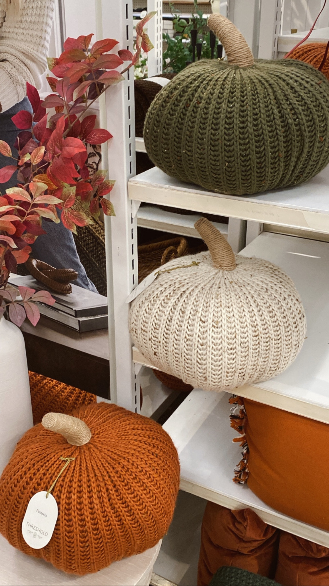 pumpkin pillows | target must haves 

#fall #falldecor #falldesign #fallhomedecor #fallstyle #fallideas #pumpkin #pillows #halloween #target #targethome #homedecor #homestyling #bedroom #livingroom #ltkholiday #thanksgiving #friendsgiving #holidaydecor 

#LTKhome #LTKstyletip #LTKSeasonal