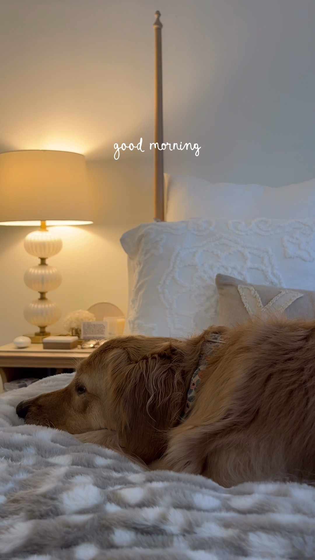 // cleaning day and home reset makes for a good morning today //

#LTKdayinmylife #LTKgrwm #LTKmorningroutine