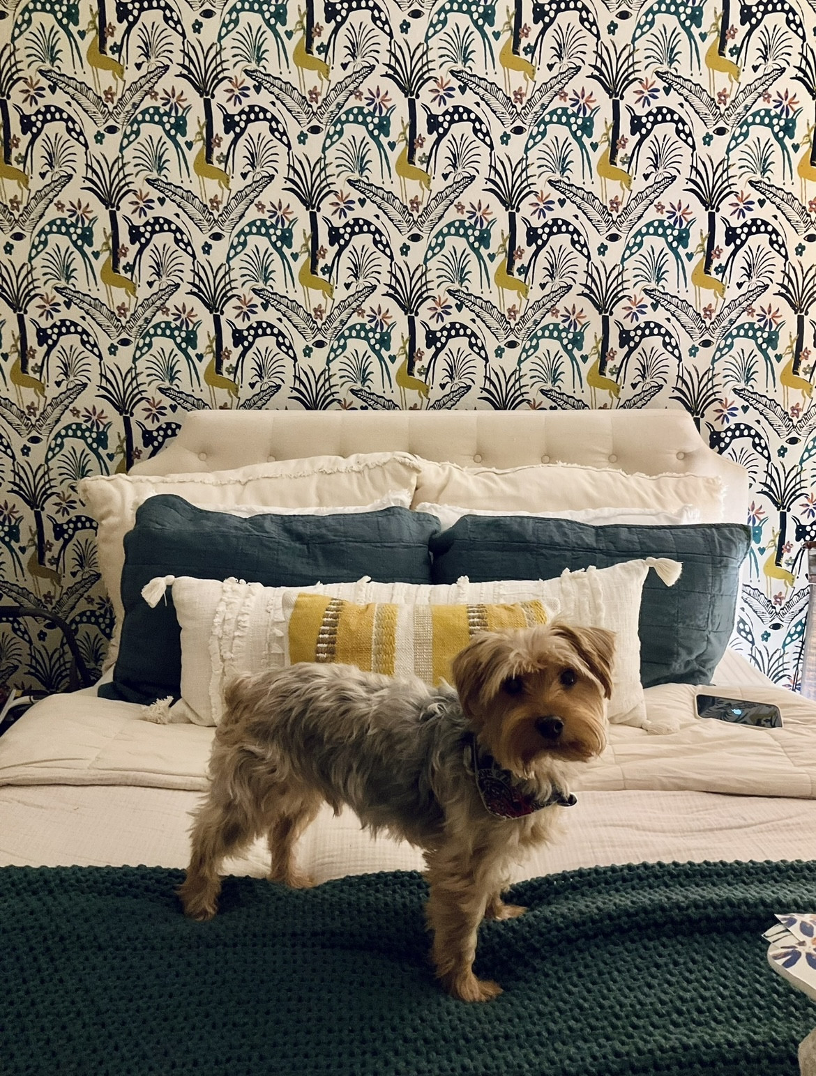 My favorite place to find bedding all in one place is Target, hands down. Casaluna and Opalhouse are the 🐐!! I personally use a duvet AND a comforter to make my bed look extra fluffy. Three pairs of pillows with the largest being in the back. And then of course, some throw pillows. I put a throw blanket at the edge of my bed to bring the colors together. The wallpaper is peel and stick contact paper from Target’s Opalhouse brand. The turquoise and yellow designs match perfectly with the turquoise and yellow throw blanket/pillows! This has been my favorite bedding yet.

#LTKstyletip #LTKhome #LTKfindsunder100