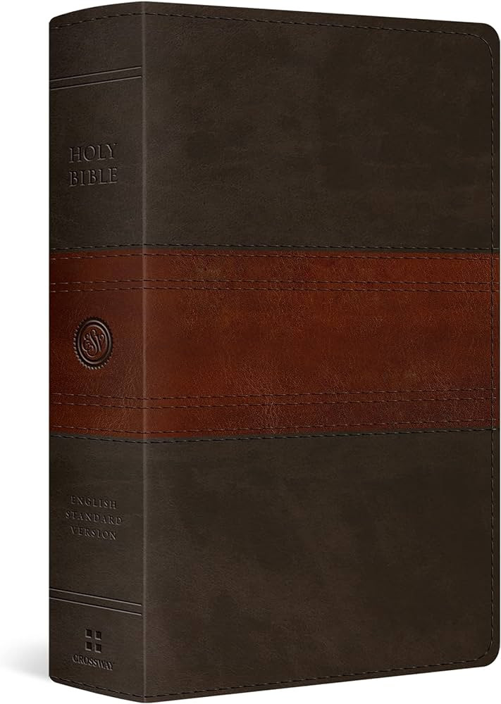 ESV Large Print Personal Size Bible, Red Letter (TruTone, Forest/Tan, Trail Design): Holy Bible, ... | Amazon (US)