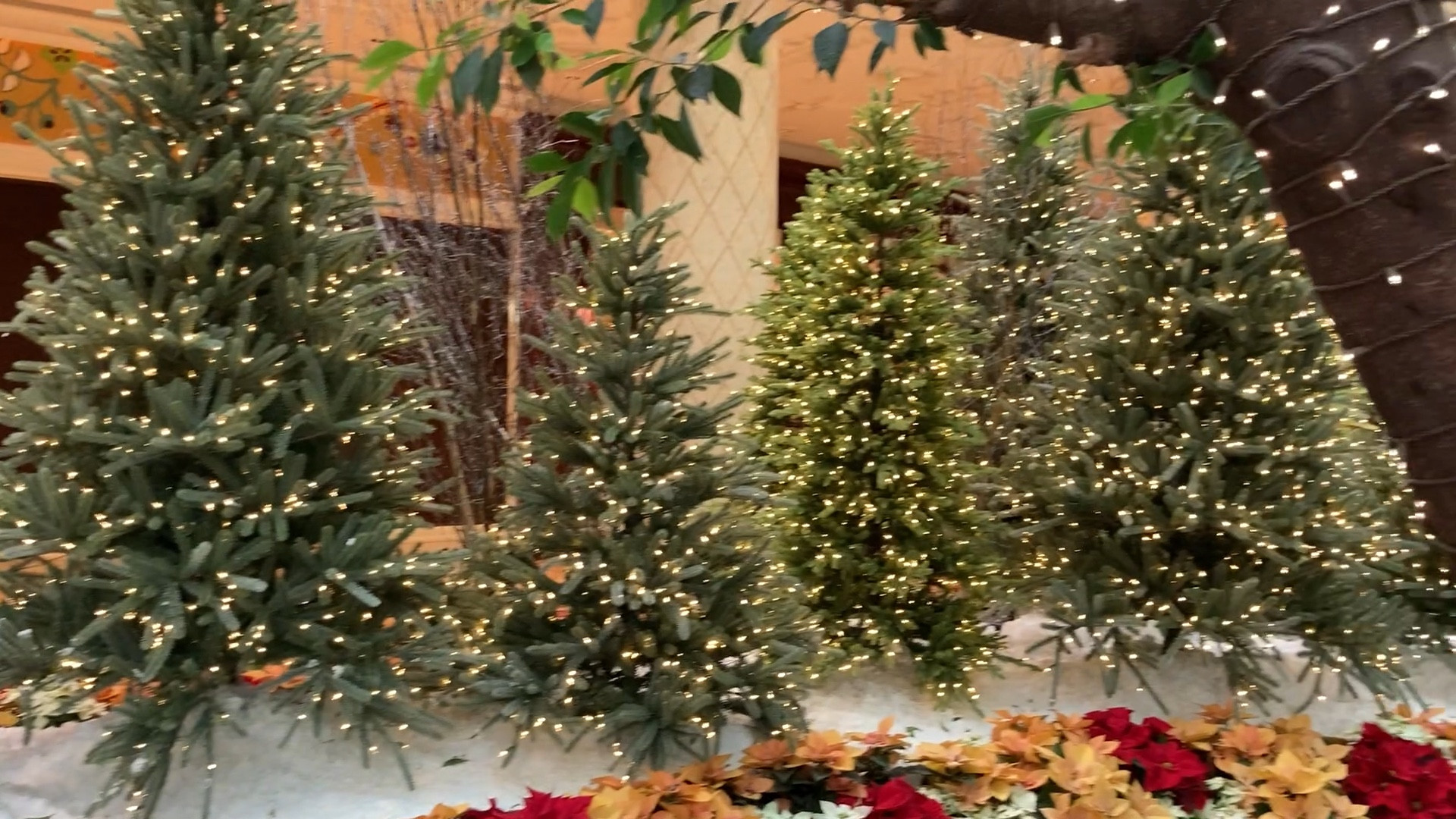 It’s the season!  #holidaydecor #Christmastree

#LTKHome #LTKCyberWeek #LTKGiftGuide