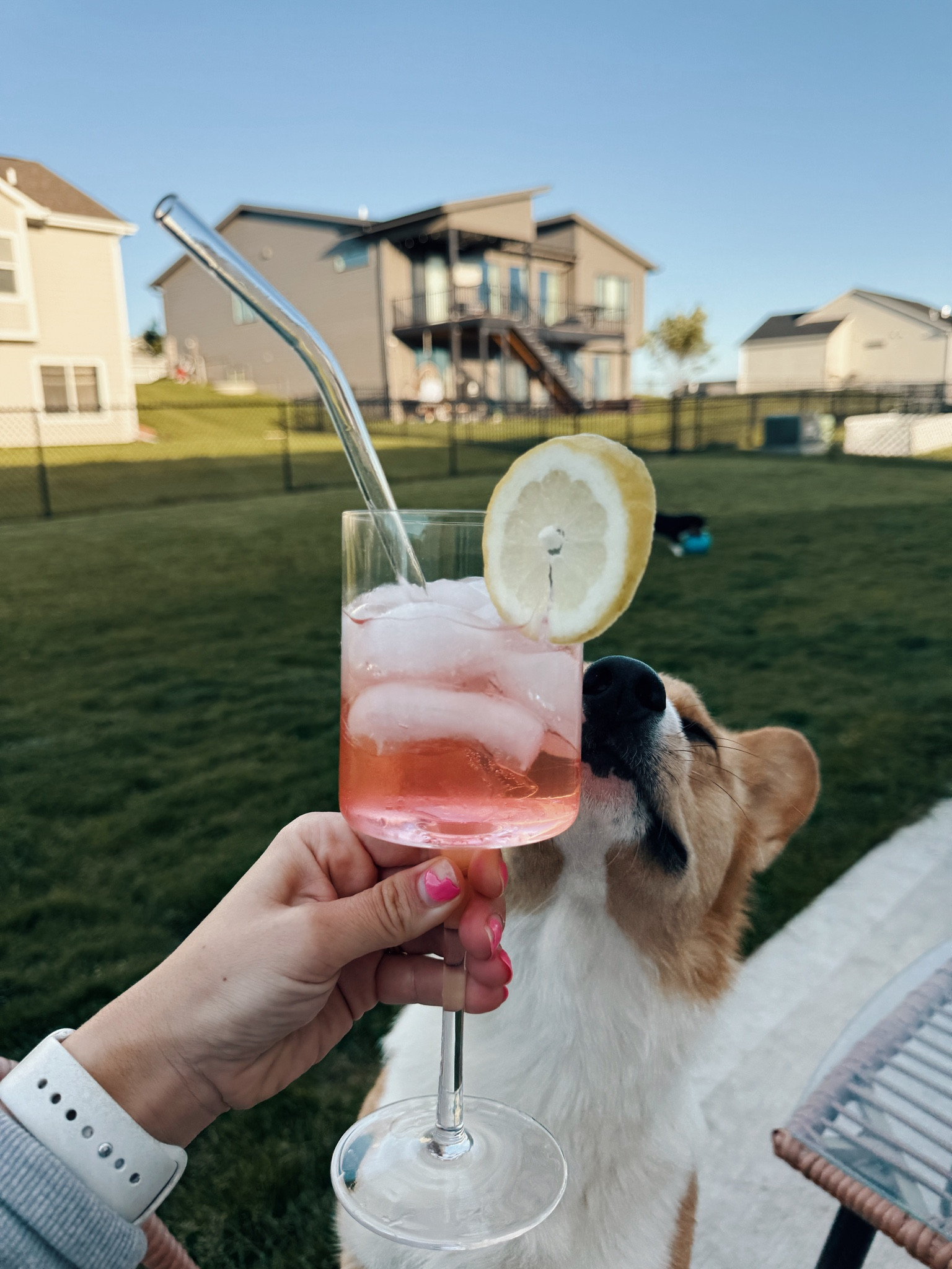 Love these Amazon wine glasses! 

#LTKHome #LTKFindsUnder50 #LTKGiftGuide