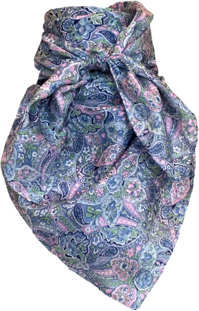 Cowboy Wild Rag Paisley Blue with Pink | Amazon (US)