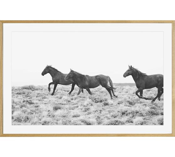 American Wild Horses by Jennifer Meyers | Pottery Barn (US)