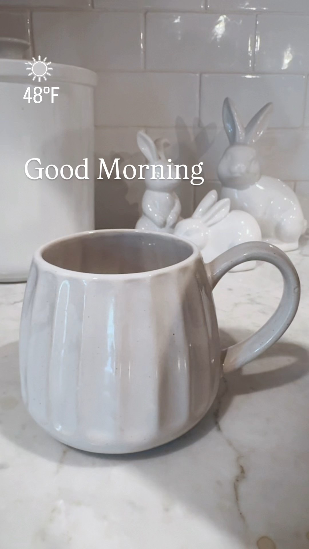 Good Morning! 



Target, Hearth and Home with Magnolia, Coffee Mug, Cream Mug, White Mug, Stoneware Mug, Spring Decor, Bunny Decor, Easter Decor, ceramic bunny

#LTKdayinmylife #LTKSeasonal #LTKHome