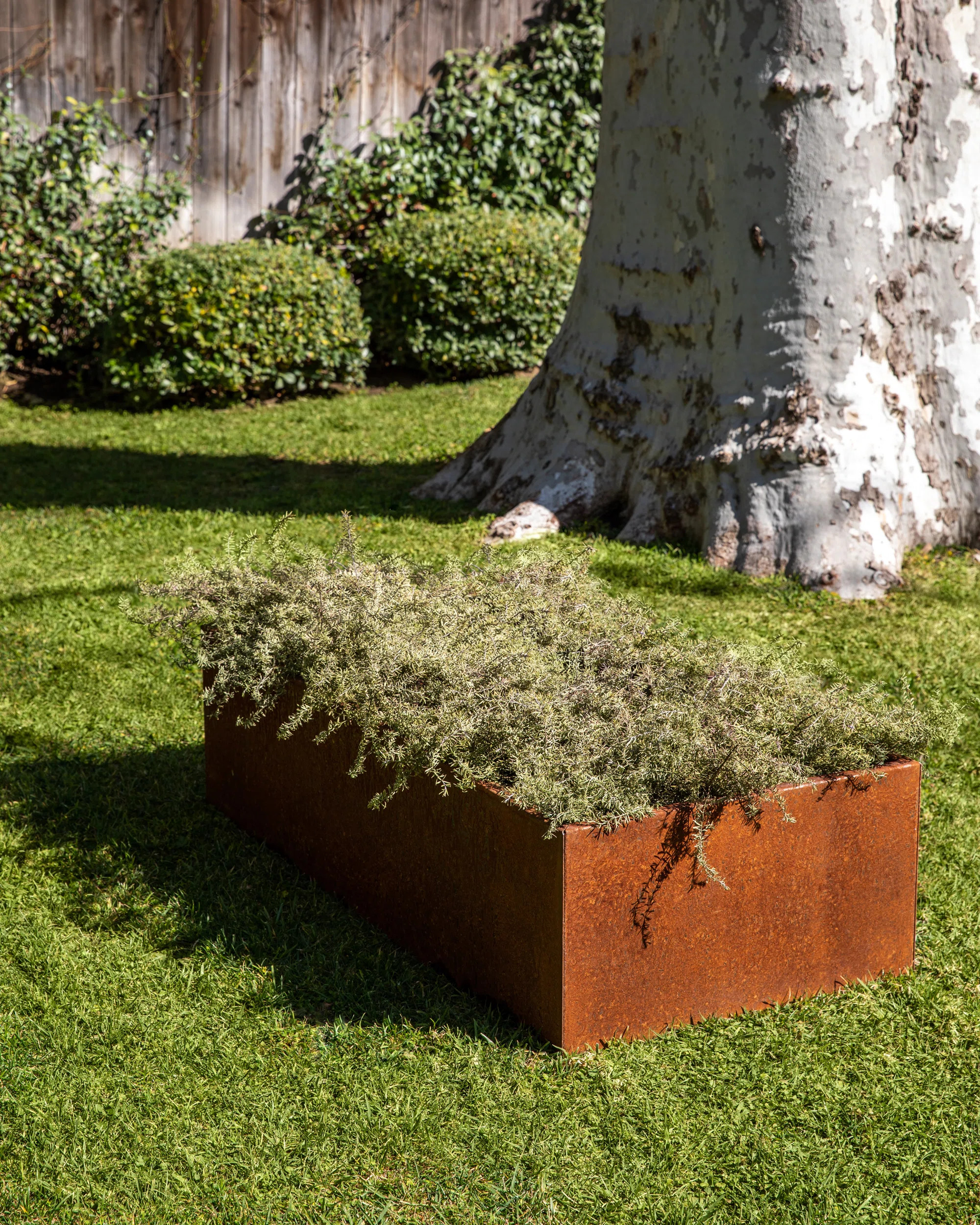Corten Steel Series Garden Bed Planter | Wayfair North America