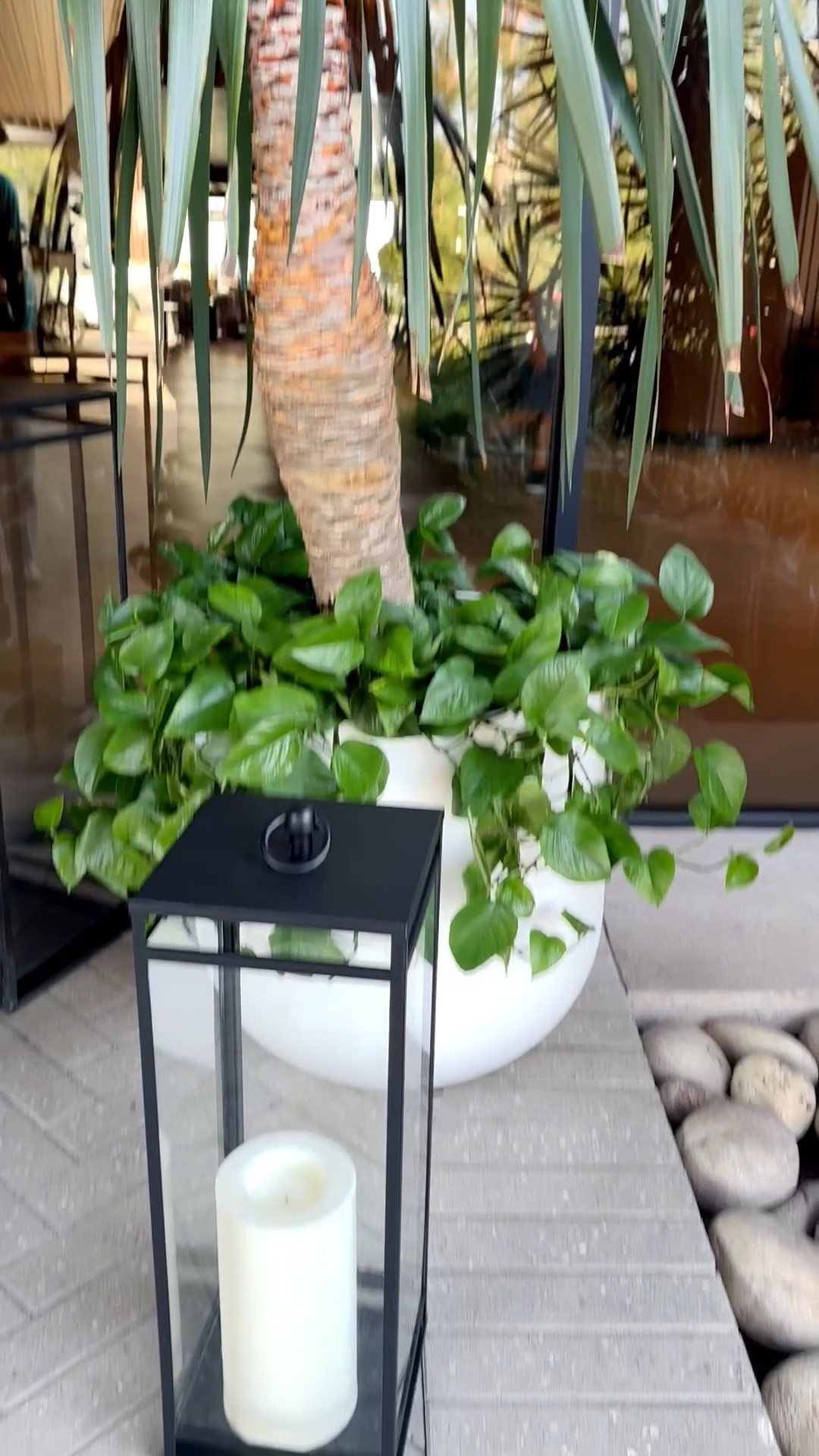 Modern greenery, beautifully layered. 🌿

I love how the sculptural palm is softened by the lush trailing greenery in this clean white planter. The sleek black lantern adds a modern architectural touch and creates such an inviting glow as evening arrives. Together, the greenery, planter, and lantern make this entry feel fresh, polished, and effortlessly welcoming.

#OutdoorPlanter #ModernPlanter #OutdoorGreenery #PottedPlants #PalmTree #Lantern #OutdoorLantern #EntrywayDecor #PatioDecor #OutdoorLiving

#LTKdayinmylife #LTKvlog #LTKHome