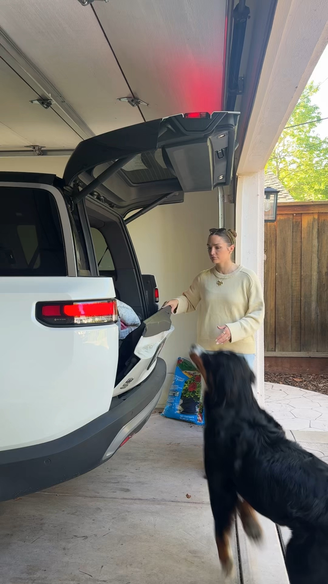 Can always depend on @petco to have everything we need. #petcopartner #ad 